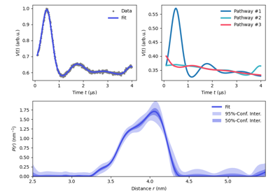 Analysis of a 4-pulse DEER signal with multiple dipolar pathays