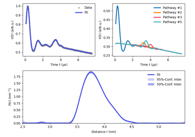 Analysis of a 5-pulse DEER signal with multiple dipolar pathays